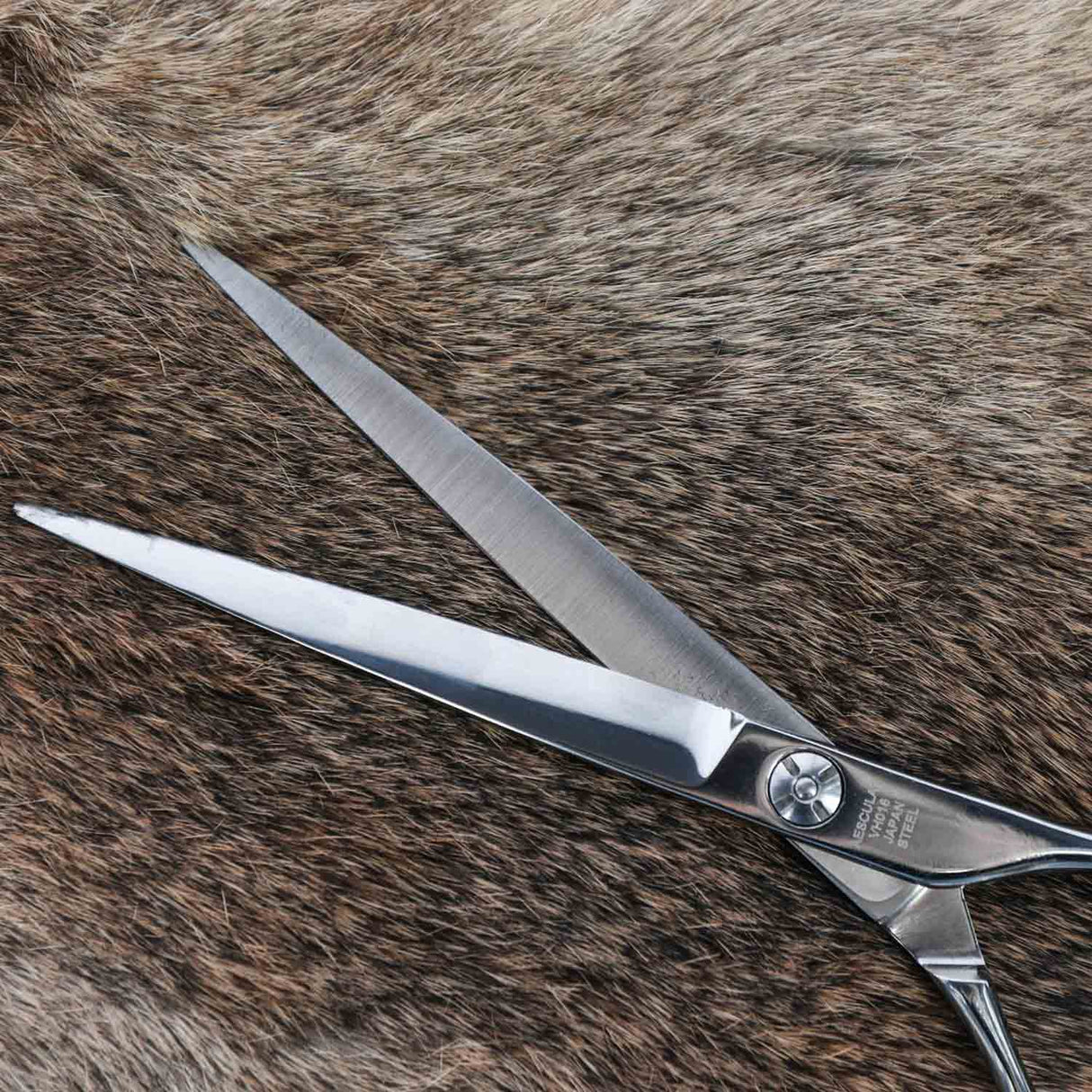 Aesculap Grooming-Schere gerade