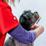 Aesculap Grooming-Schere gerade