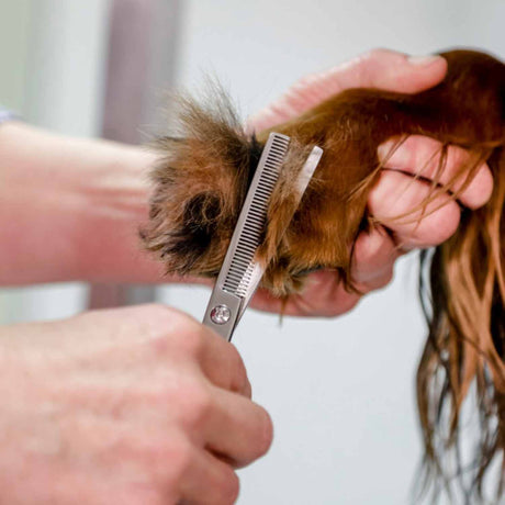 Aesculap Grooming-Schere, Modellierschere
