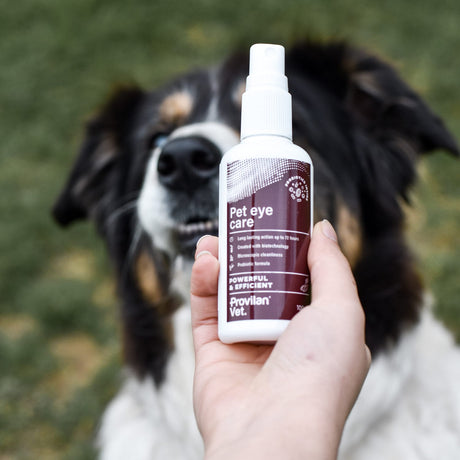 Provilan® Vet Augenpflege