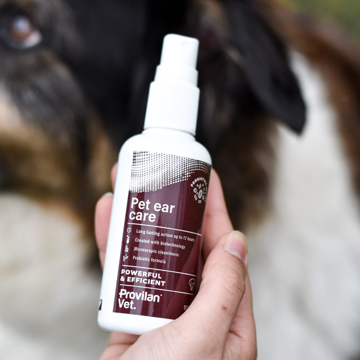 Provilan® Vet Ohrenpflege