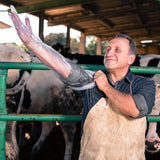 Veterinärhandschuhe