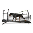 DOG RUNNER Revolution Pro