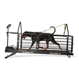 DOG RUNNER Revolution Pro