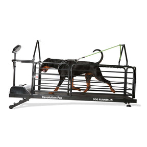 DOG RUNNER Revolution Pro