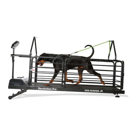 DOG RUNNER Revolution Pro