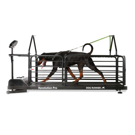 DOG RUNNER Revolution Pro