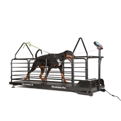 DOG RUNNER Revolution Pro