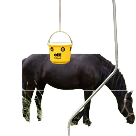 cit Fliegenfalle FlyCage6