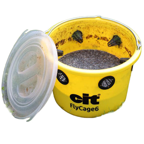 cit Fliegenfalle FlyCage6