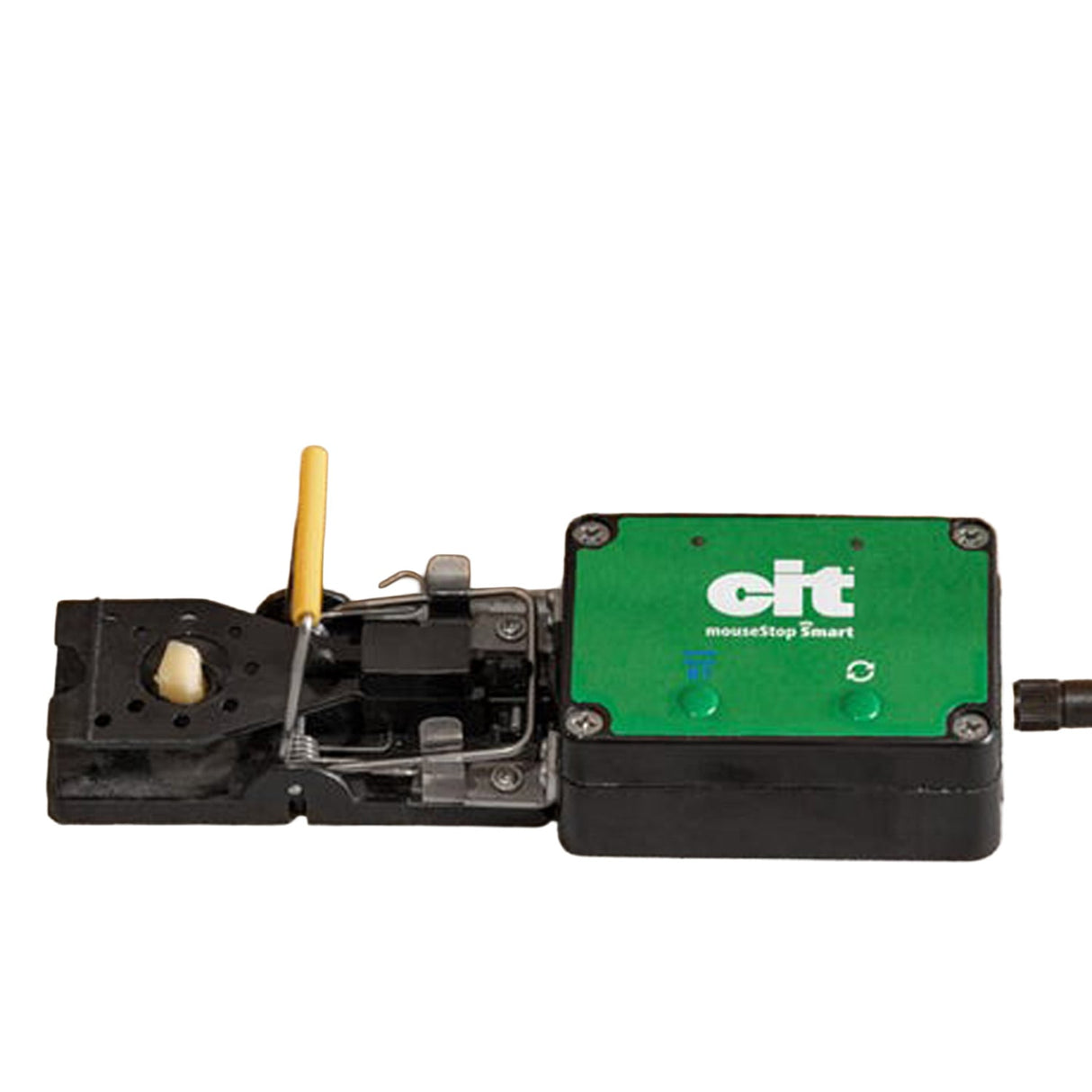 cit mouseStop Smart
