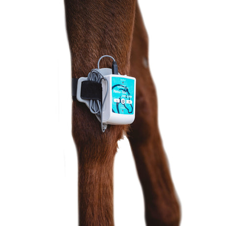 Vet Line "Equi Ortho Quick" 