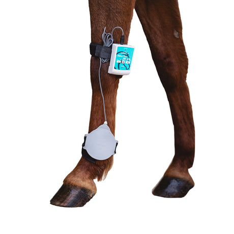 Vet Line "Equi Ortho Quick" 