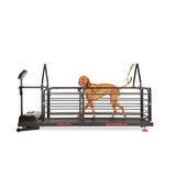 DOG RUNNER Ortho Pro