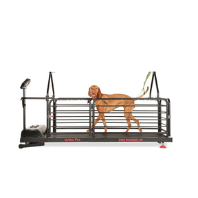 DOG RUNNER Ortho Pro