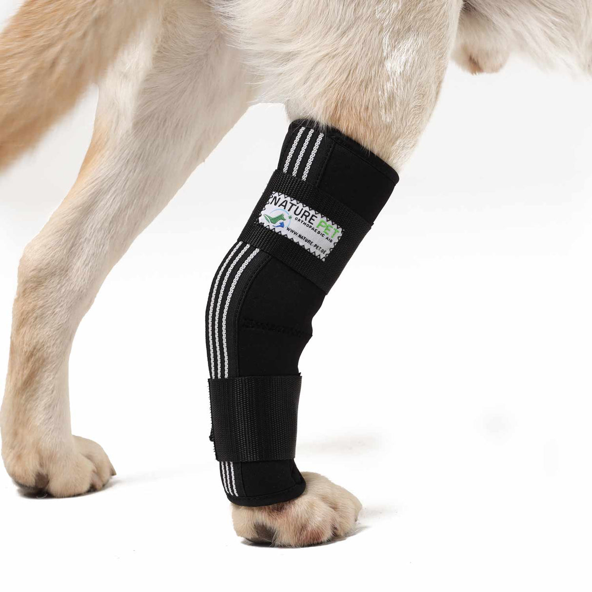 Tarsalgelenkbandage für Hunde