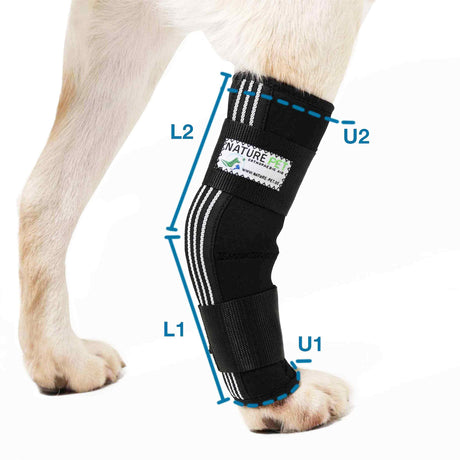 Tarsalgelenkbandage für Hunde